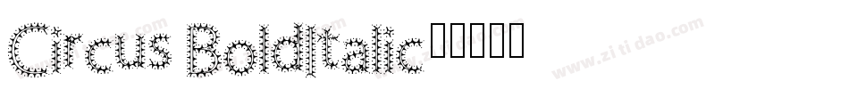 Circus BoldItalic字体转换